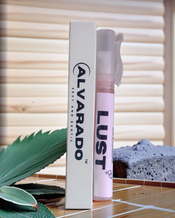 Untitled design - 2025-09-17T131555.565