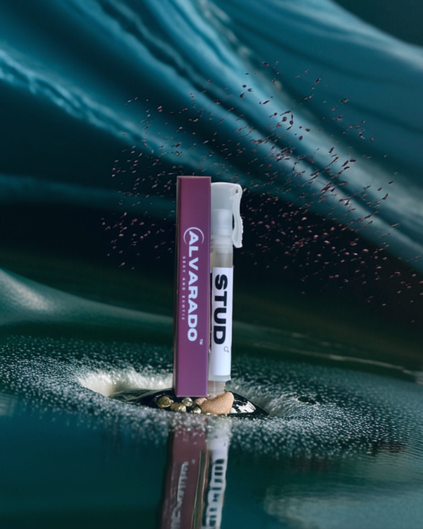 Untitled design - 2025-09-17T132121.294